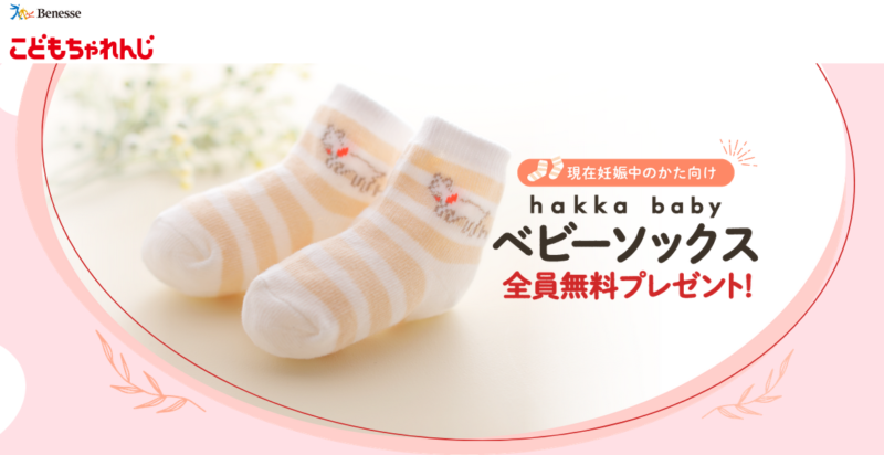 後悔 こどもちゃれんじベビーの口コミ 紹介特典 退会など わんぱく教育カンパニー