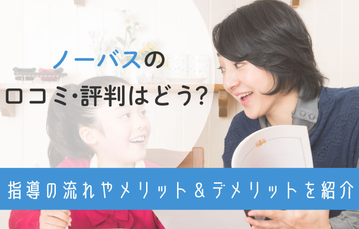 ノーバス　評判FV