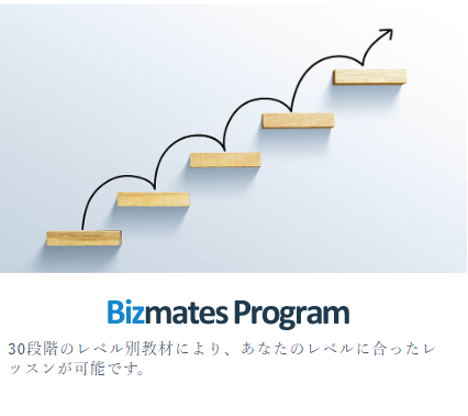 Bizmates Program
